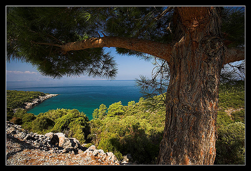 Отдых в Турции Отдых в Турции