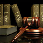 В 2010 году парламент Казахстана принял 154 закона