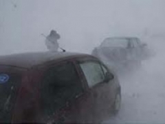 � ����������� ������� � ������� ������ �������� 116 �������