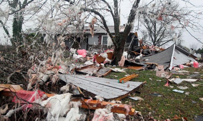 Фотоподборка дня: 1 декабря Фотоподборка дня: 1 декабря