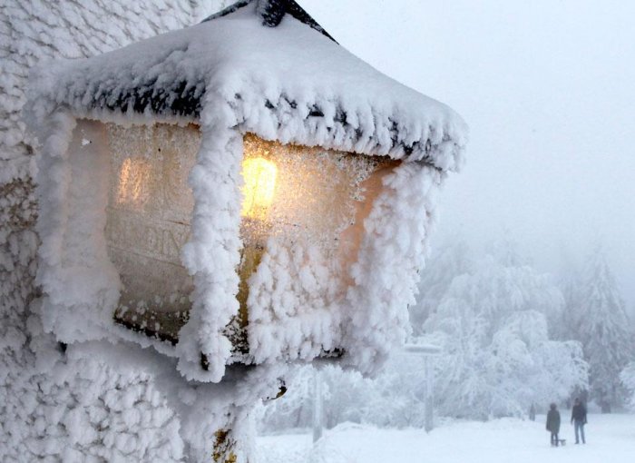 Фотоподборка дня: 1 декабря Фотоподборка дня: 1 декабря