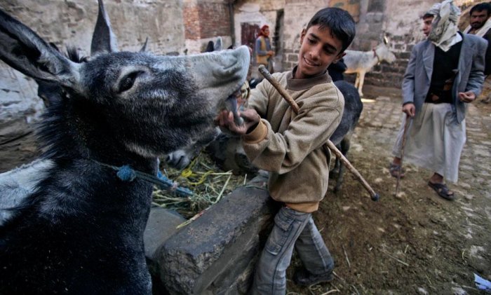 Фотоподборка дня: 1 декабря Фотоподборка дня: 1 декабря