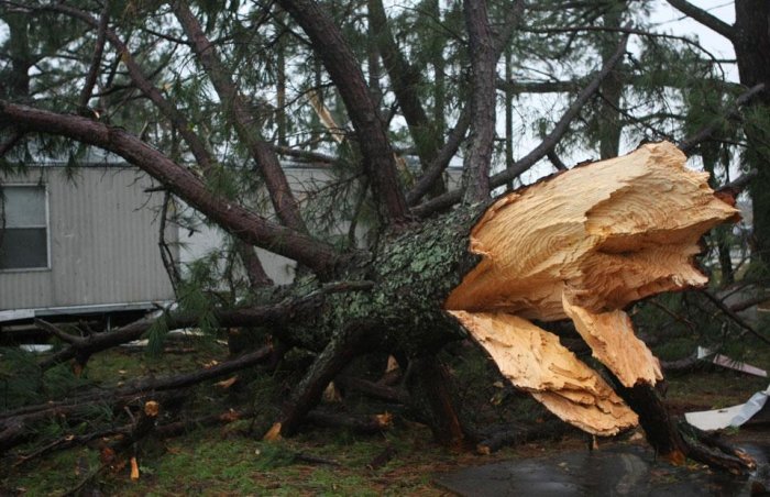 Фотоподборка дня: 1 декабря Фотоподборка дня: 1 декабря