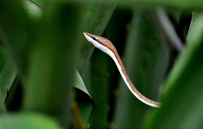 ������������ ���: 2 �������