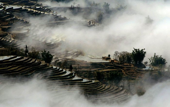 ������������ ���: 2 �������