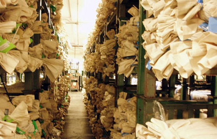 ��� ������ ������