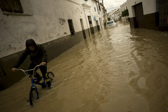 ������������ ���: 8 �������