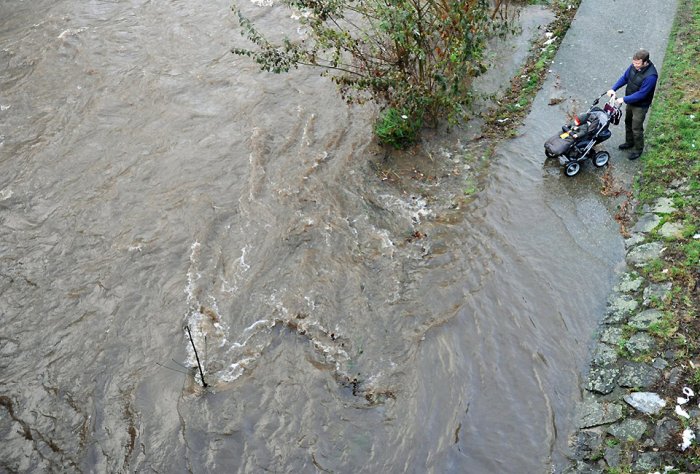 ������������ ���: 8 �������