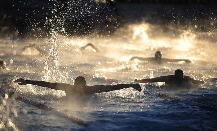 ������������ ���: 8 �������