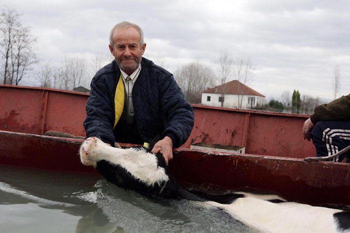 ������������ ���: 8 �������