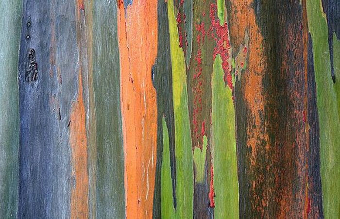 ��������� ���� ������� ��������