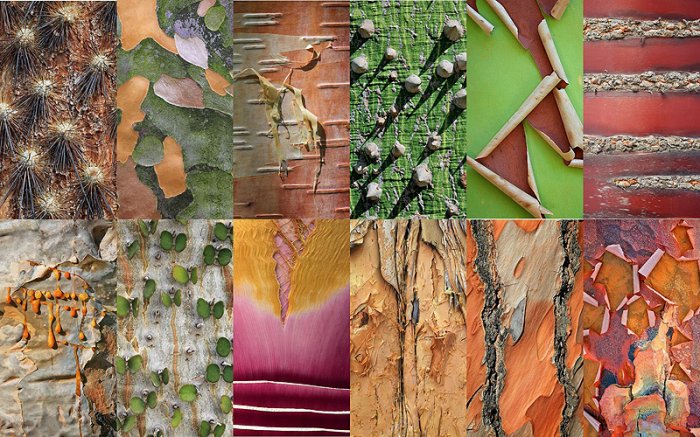 ��������� ���� ������� ��������