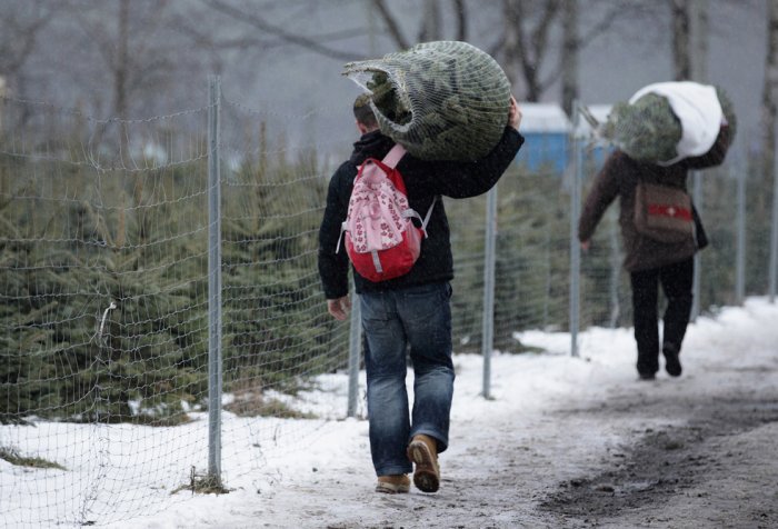 Срубили нашу елочку Срубили нашу елочку