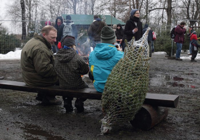 Срубили нашу елочку Срубили нашу елочку