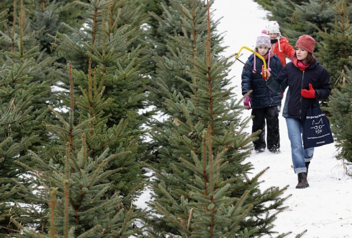 ������� ���� ������