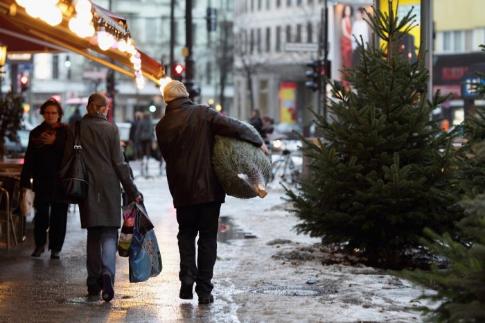 Срубили нашу елочку Срубили нашу елочку