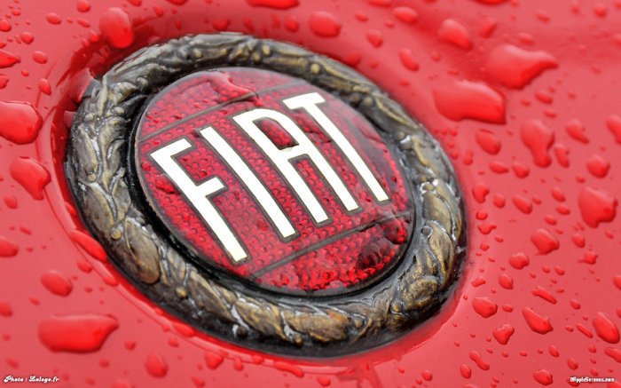 Несколько вещей, которые надо успеть сделать в уходящем году Несколько вещей, которые надо успеть сделать в уходящем году