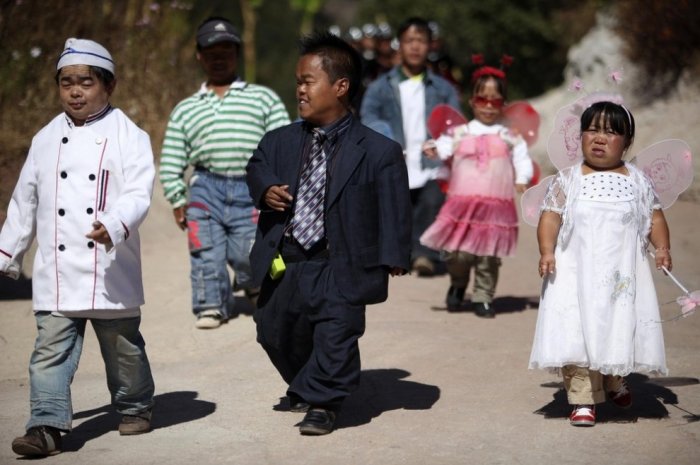 ������ ���������