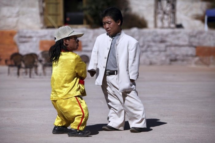 ������ ���������