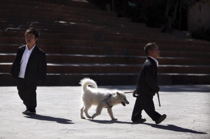 ������ ���������