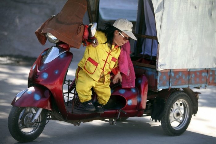 ������ ���������