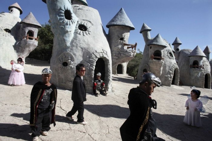 ������ ���������