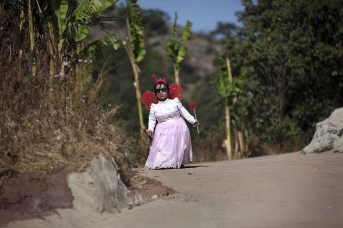 ������ ���������