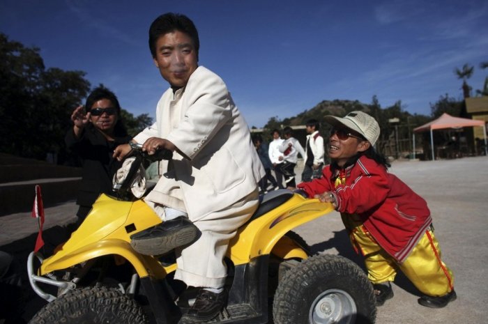 ������ ���������