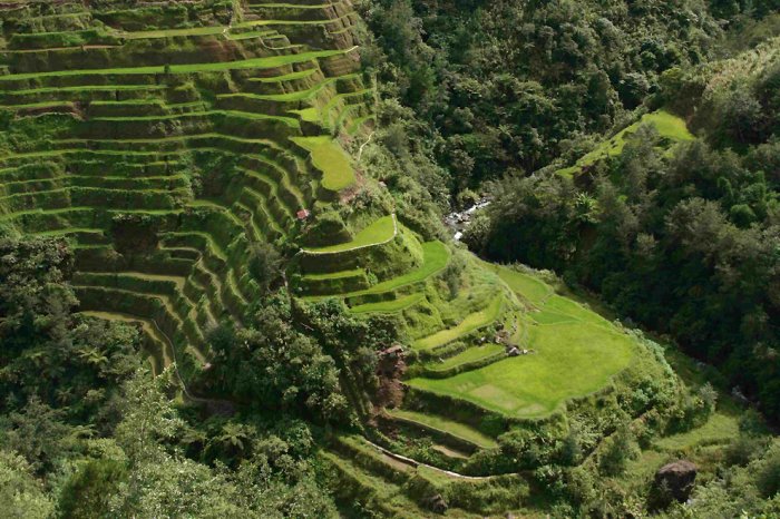 7 ������������� ����� �����