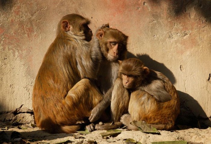 Фотоподборка дня: 23 декабря Фотоподборка дня: 23 декабря