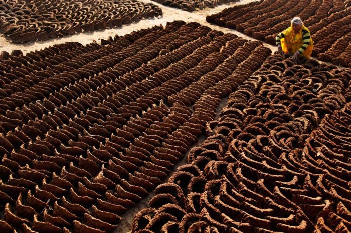 Фотоподборка дня: 23 декабря Фотоподборка дня: 23 декабря