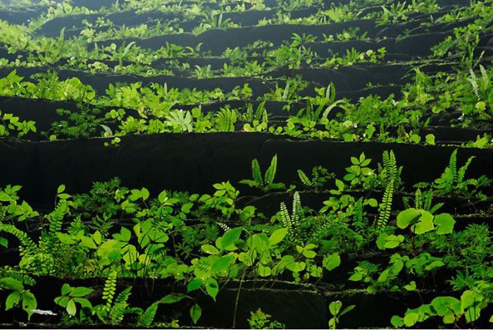 ������� ����������� ������