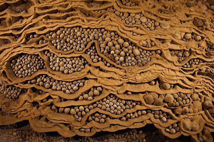 ������� ����������� ������