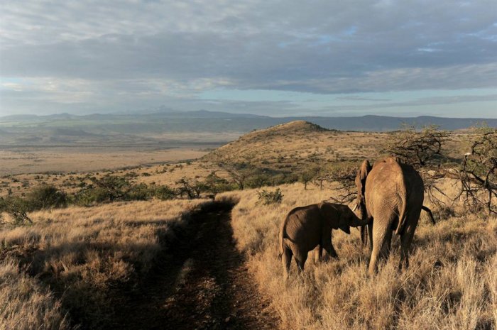 ������ ���� �������