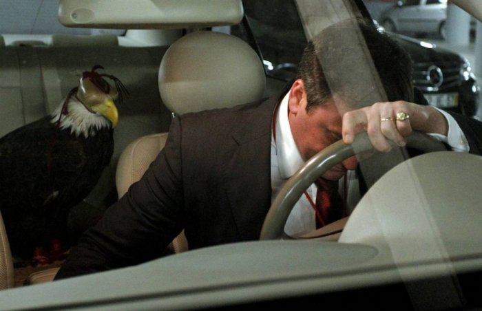 ������ ���� �������