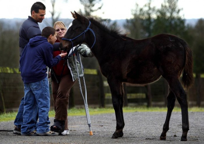 ������ ���� �������