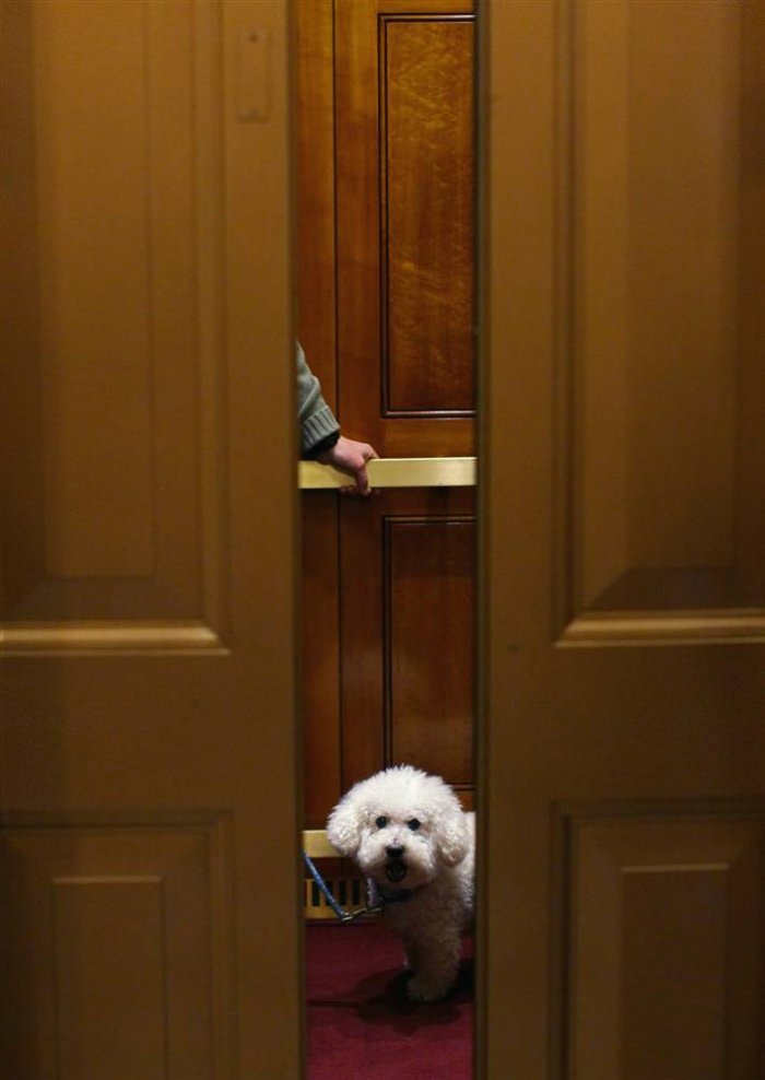 ������ ���� �������