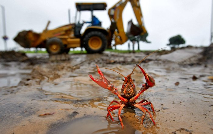 ������������ ������: 19-24 �������