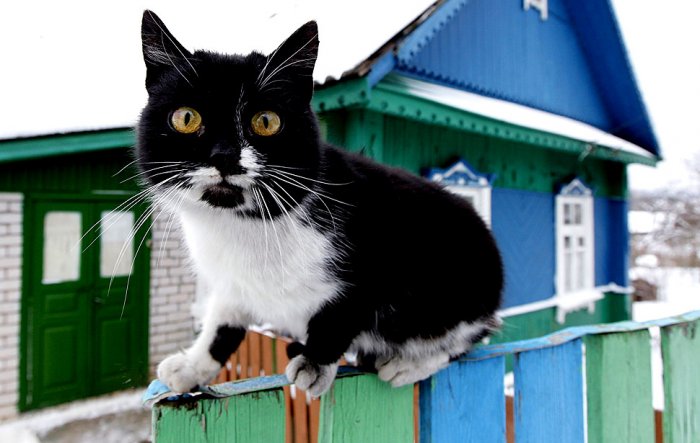 ������������ ������: 19-24 �������