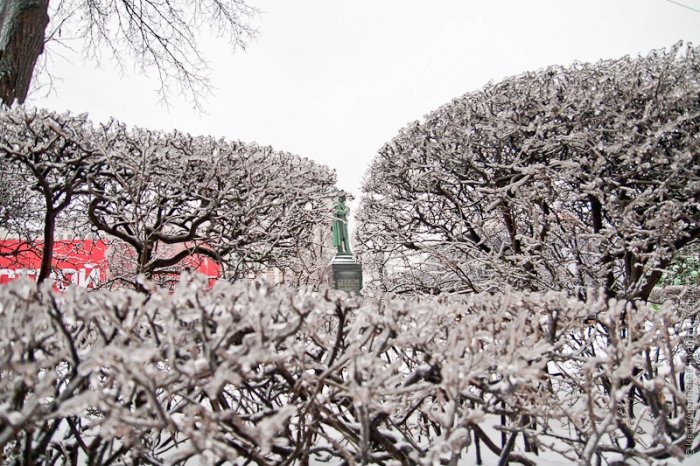 Ледяной дождь в Москве Ледяной дождь в Москве