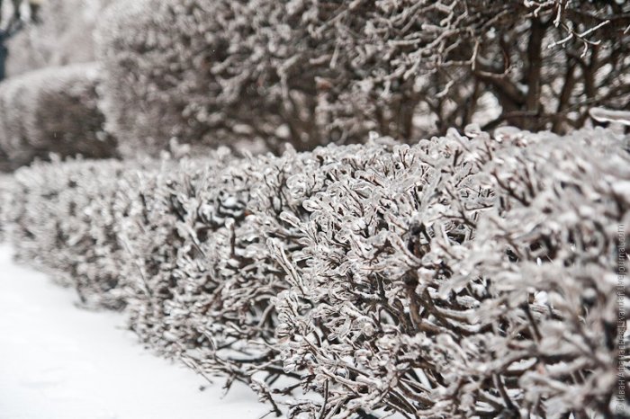 Ледяной дождь в Москве Ледяной дождь в Москве