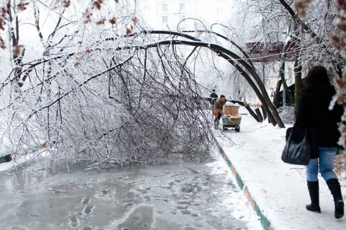 Ледяной дождь в Москве Ледяной дождь в Москве
