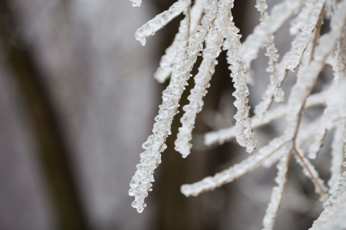 Ледяной дождь в Москве Ледяной дождь в Москве