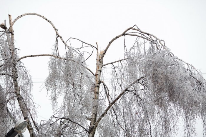 Ледяной дождь в Москве Ледяной дождь в Москве