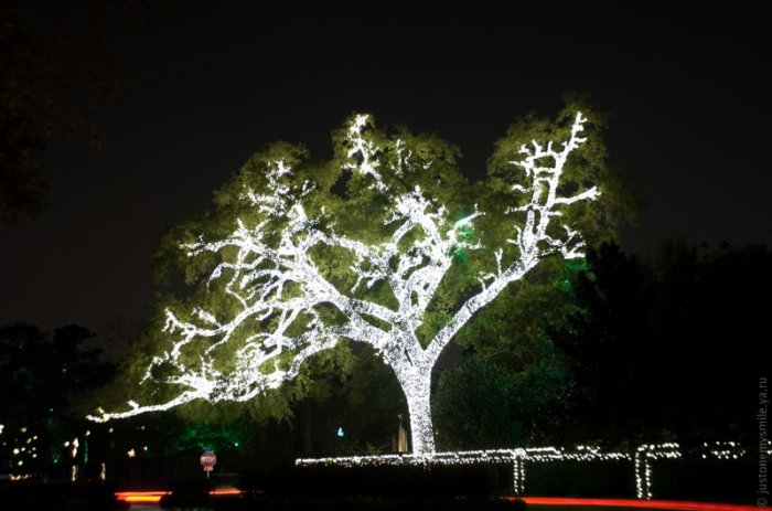 Рождественские огни американских городов Рождественские огни американских городов