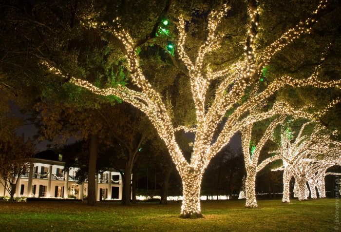 Рождественские огни американских городов Рождественские огни американских городов