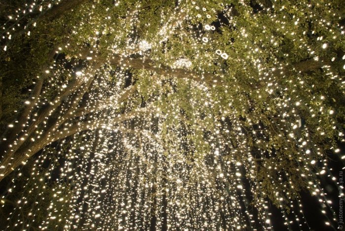 Рождественские огни американских городов Рождественские огни американских городов