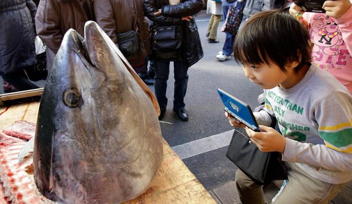 ������������ ���: 28 �������