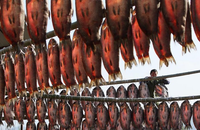 ������������ ���: 28 �������